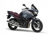 2010 Yamaha TDM 900A photo